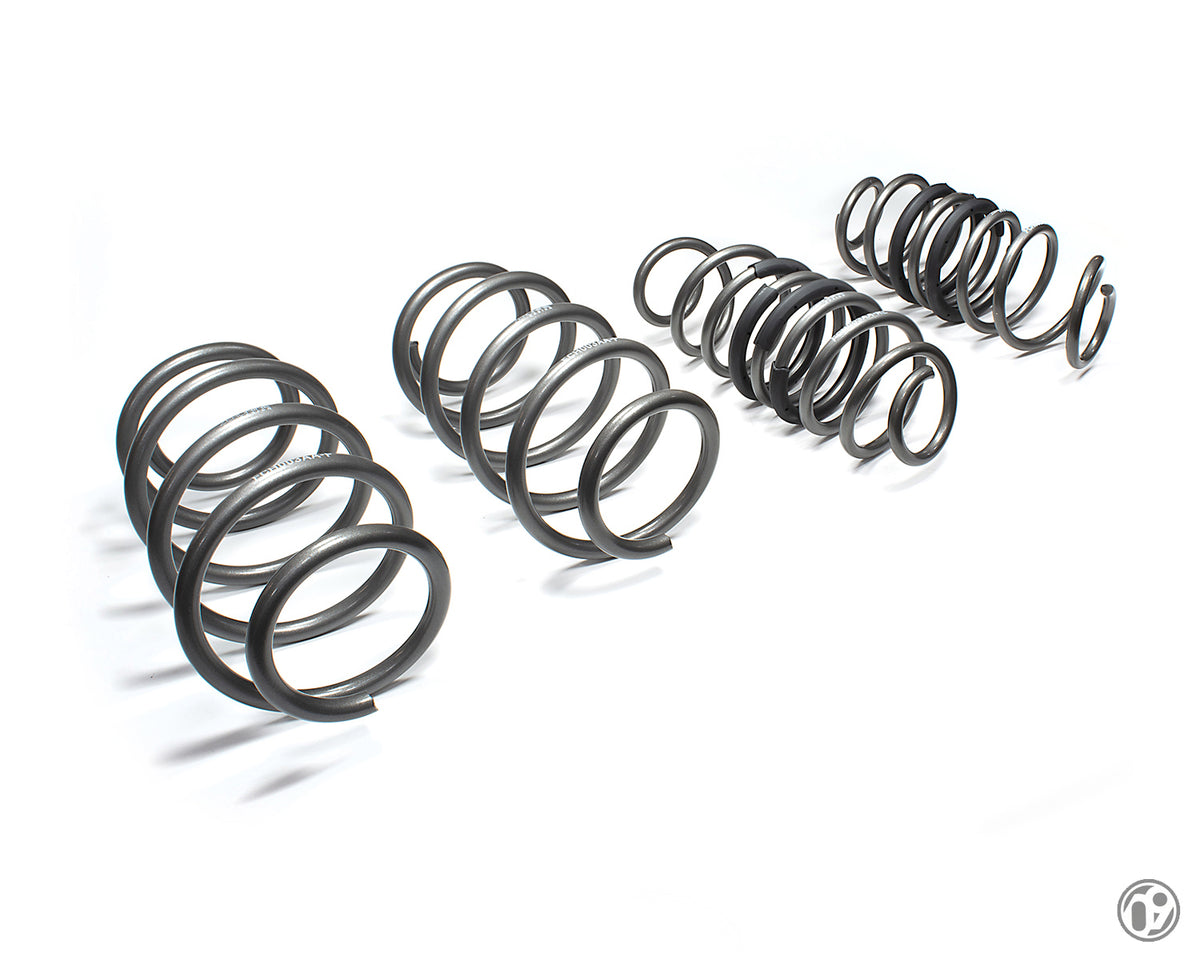 09D Performance Spring Kit [Fiesta ST Mk8/Mk8.5 | Puma ST]