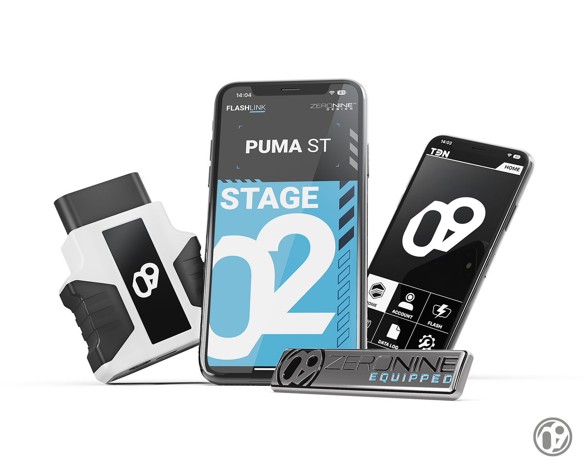 09D FLASHlink Stage 02 [Puma ST]