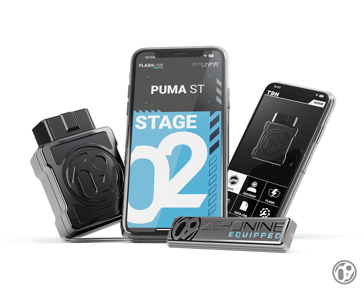 09D FLASHlink Stage 02 [Puma ST]